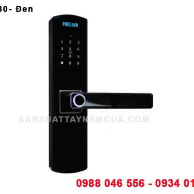 Khóa vân tay FP8030