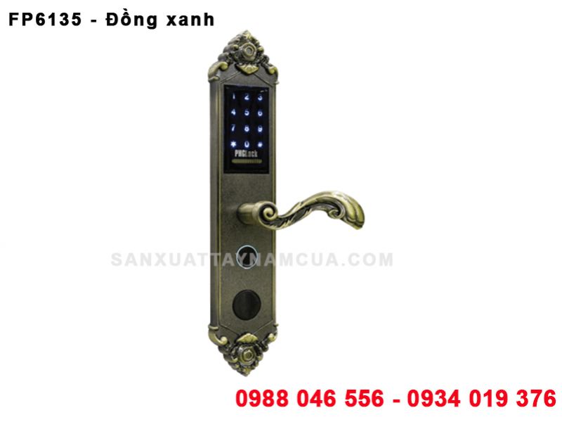 Khóa vân tay FP6135