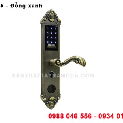 Khóa vân tay FP6135